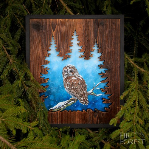 Puszczyk zwyczajny,zima,Beskid Niski(1)-FirForest.jpg