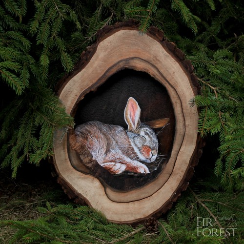zajączek-Leśne Duchy-FirForest-1.jpg