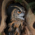 puchacz-Leśne Duchy-FirForest-2.jpg