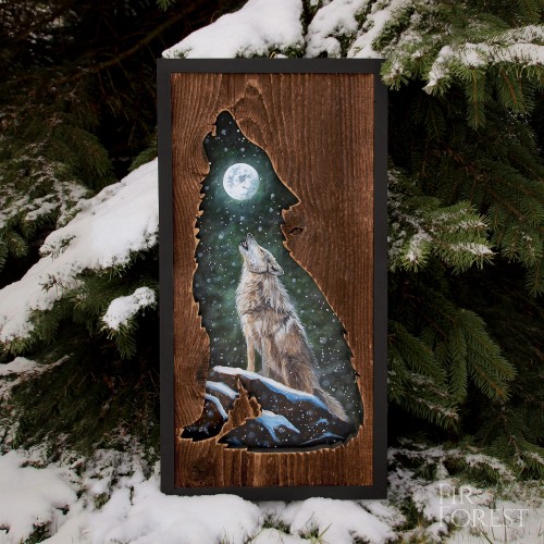 wilk wyjący-FirForest-1.jpg